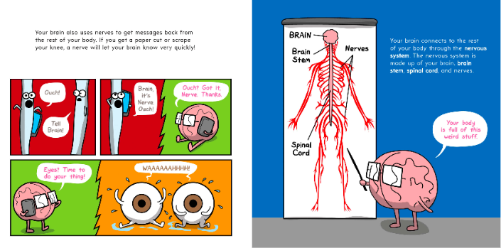 celebrate-picture-books-picture-book-review-the-brain-is-kind-of-a-big-deal-ouch