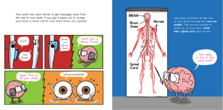 celebrate-picture-books-picture-book-review-the-brain-is-kind-of-a-big-deal-ouch