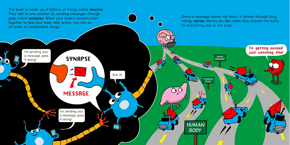 celebrate-picture-books-picture-book-review-the-brain-is-kind-of-a-big-deal-nervous-system