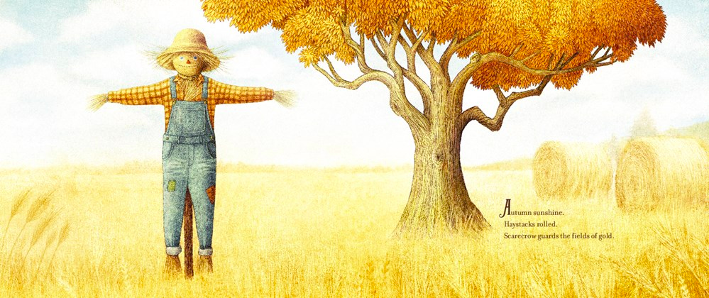 celebrate-picture-books-picture-book-review-the-scarecrow-autumn