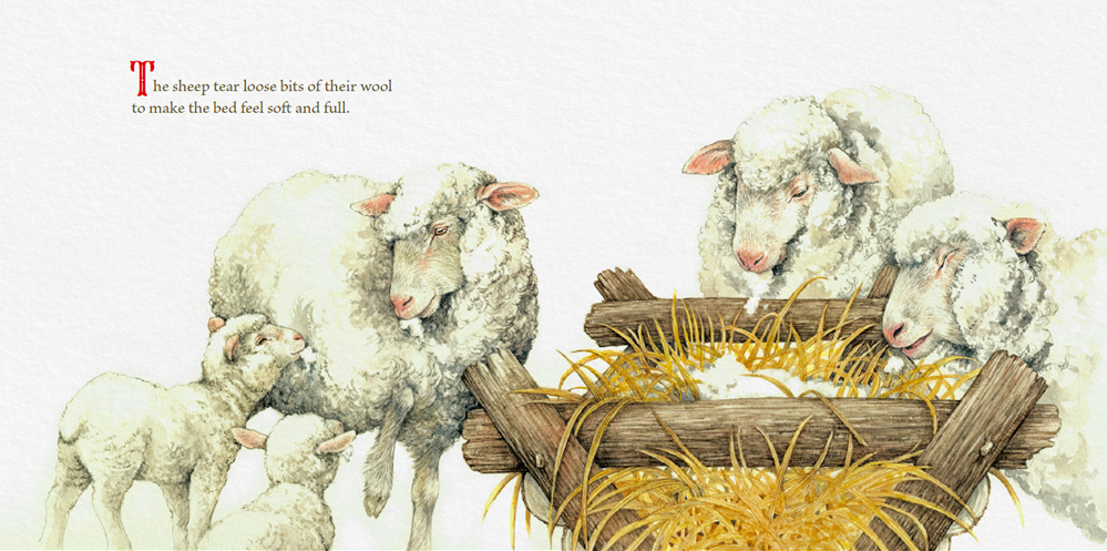celebrate-picture-books-picture-book-review-the-gifts-of-the-animals-sheep