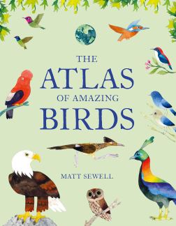 celebrate-picture-books-picture-book-review-the-atlas-of-amazing-birds-cover