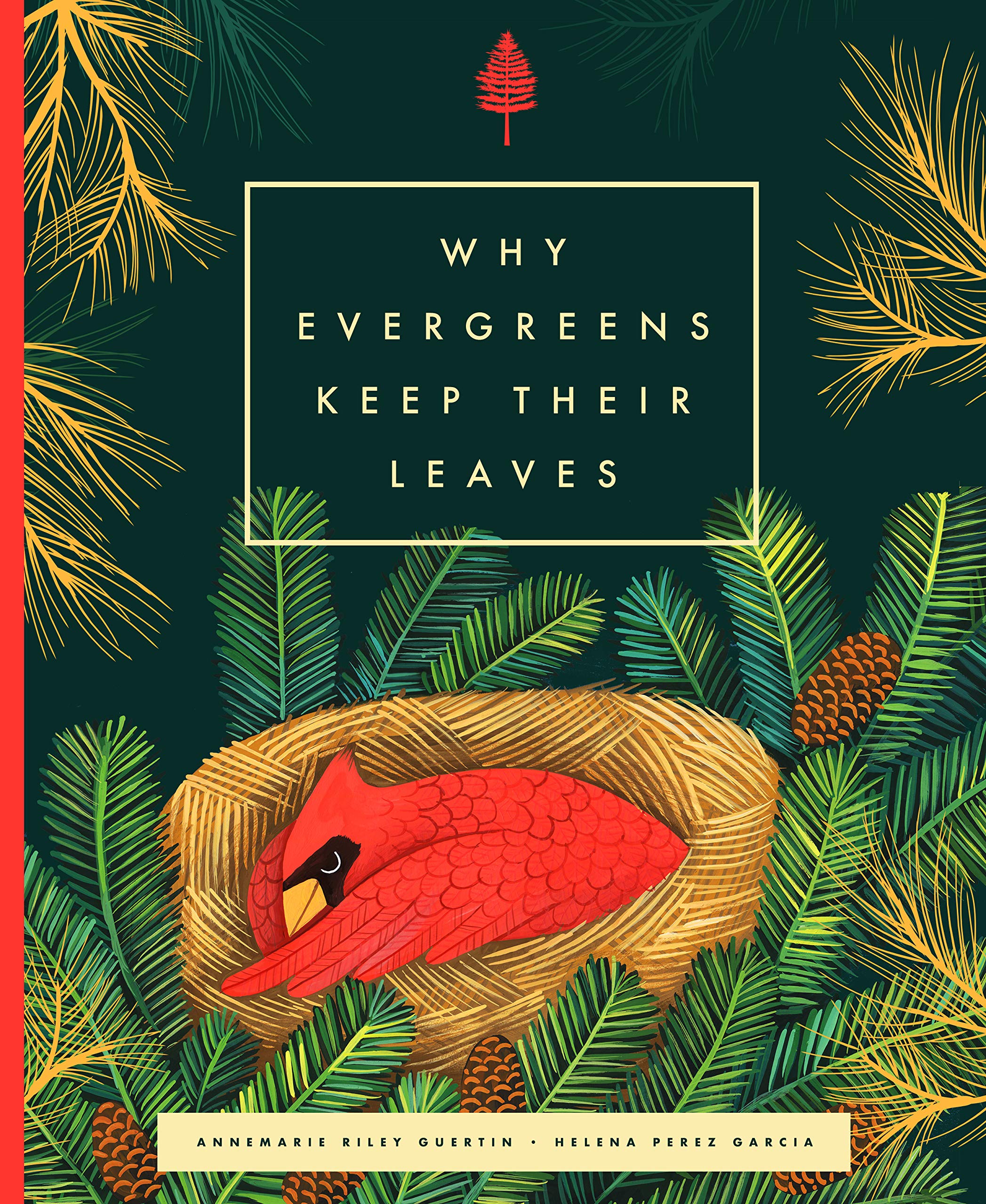 celebrate-picture-books-picture-book-review-why-evergreens-keep-their-leaves-cover