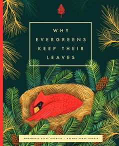 celebrate-picture-books-picture-book-review-why-evergreens-keep-their-leaves-cover