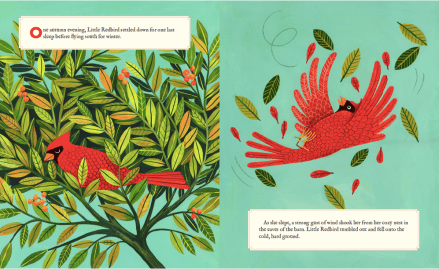 celebrate-picture-books-picture-book-review-why-evergreens-keep-their-leaves-frost-wind