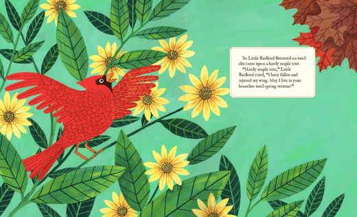 celebrate-picture-books-picture-book-review-why-evergreens-keep-their-leaves-frost-maple-tree