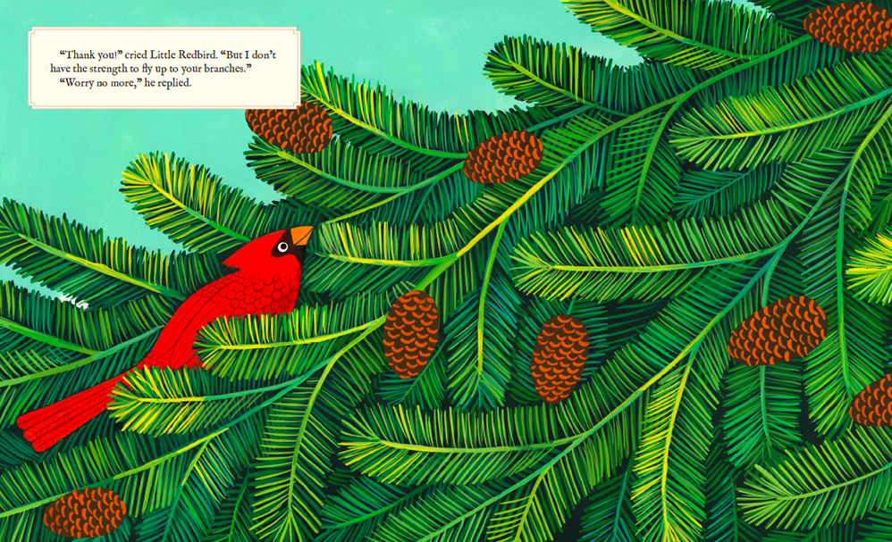 celebrate-picture-books-picture-book-review-why-evergreens-keep-their-leaves-frost-pinecones