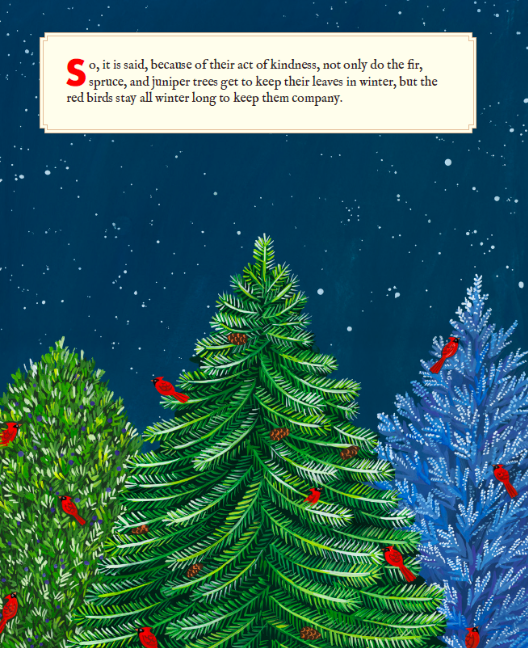 celebrate-picture-books-picture-book-review-why-evergreens-keep-their-leaves-kindness