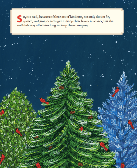 celebrate-picture-books-picture-book-review-why-evergreens-keep-their-leaves-kindness