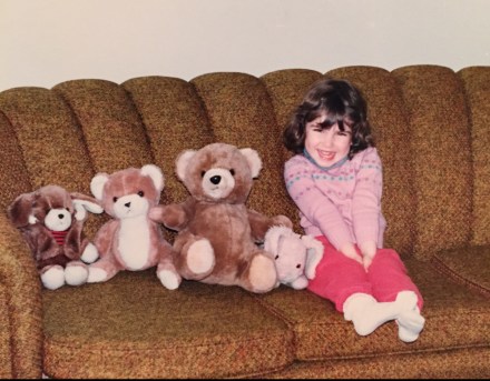 celebrate-picture-books-picture-book-review-Vikki-VanSickle-and-Teddy-Bear-Gang