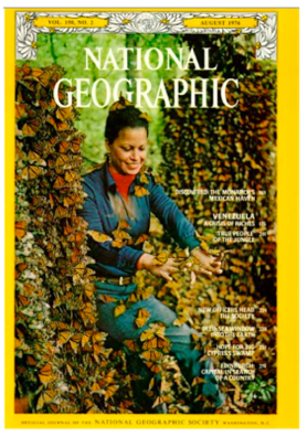 celebrate-picture-books-picture-book-review-winged-wonders-cover-reveal-national-geographic-cover