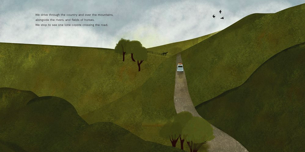 celebrate-picture-books-picture-book-review-birdsong-driving