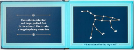 celebrate-picture-books-picture-book-review-animals-in-the-sky-bear