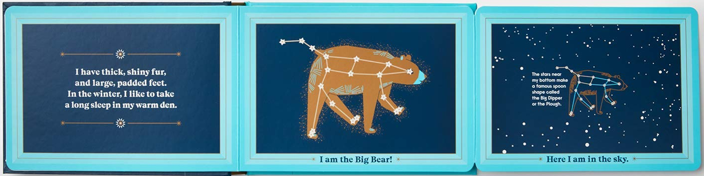 celebrate-picture-books-picture-book-review-animals-in-the-sky-bear-gate-fold