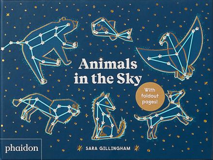 celebrate-picture-books-picture-book-review-animals-in-the-sky-cover