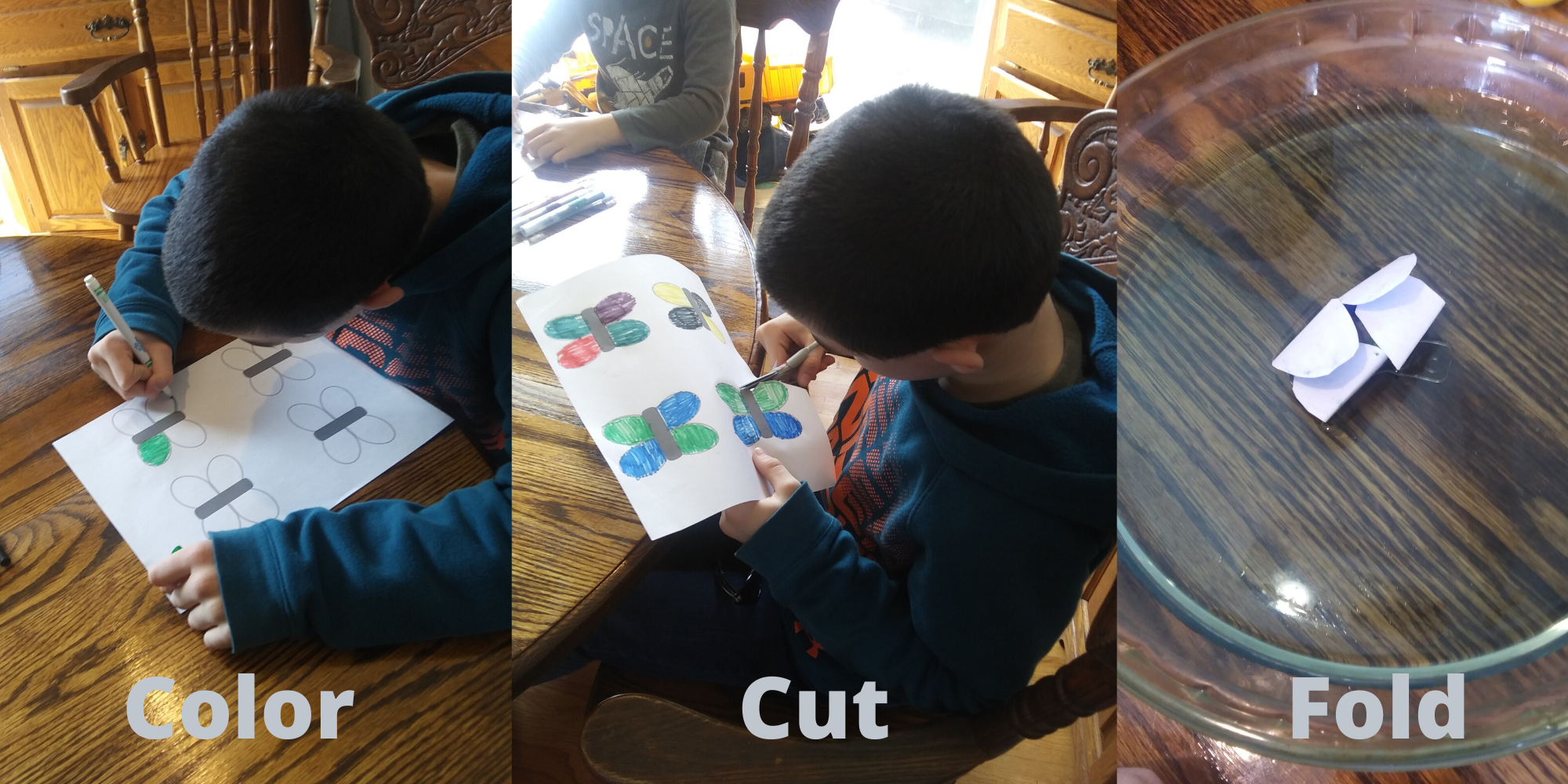 celebrate-picture-books-picture-book-review-the-very-impatient-caterpillar-craft