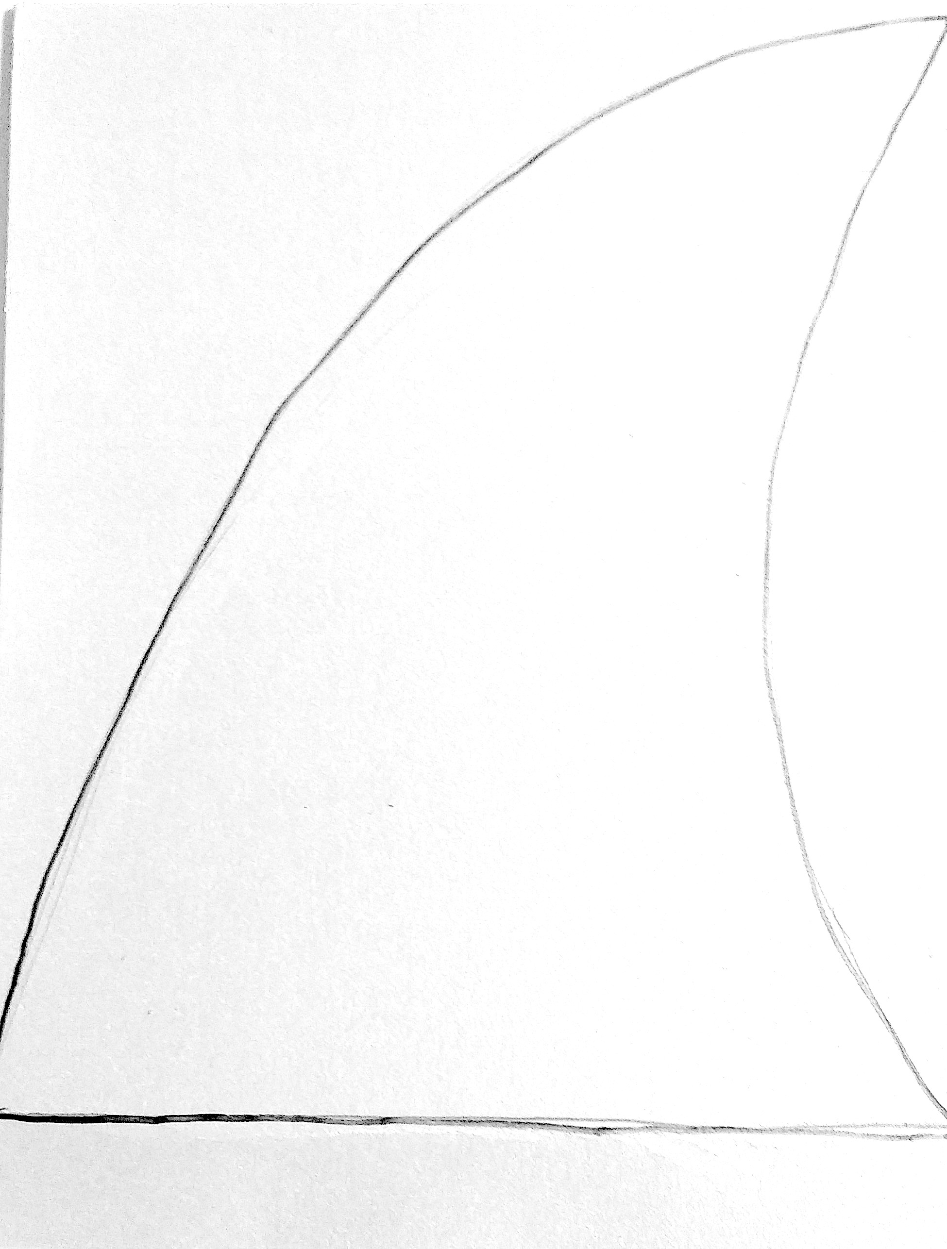 fin outline white