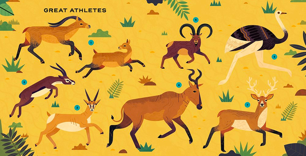 celebrate-picture-books-picture-book-review-extinct-athletes