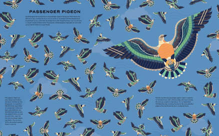 celebrate-picture-books-picture-book-review-extinct-passenger-pigeon