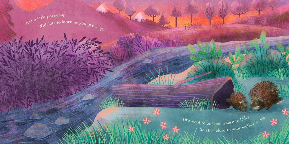 celebrate-picture-books-picture-book-review-you-are-mine-porcupine-pup