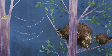 celebrate-picture-books-picture-book-review-you-are-mine-porcupine-tree