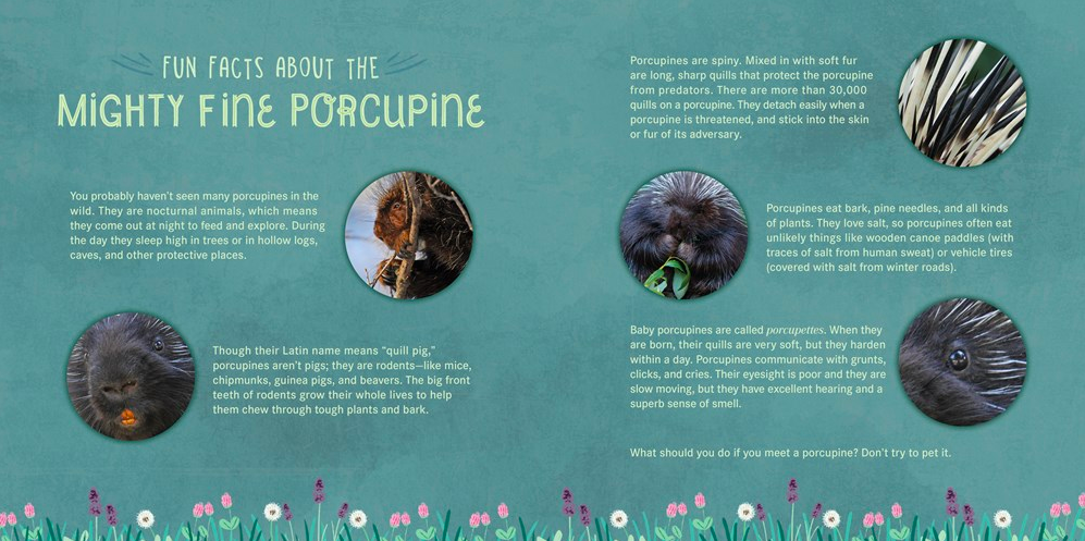 celebrate-picture-books-picture-book-review-you-are-mine-porcupine-back-matter