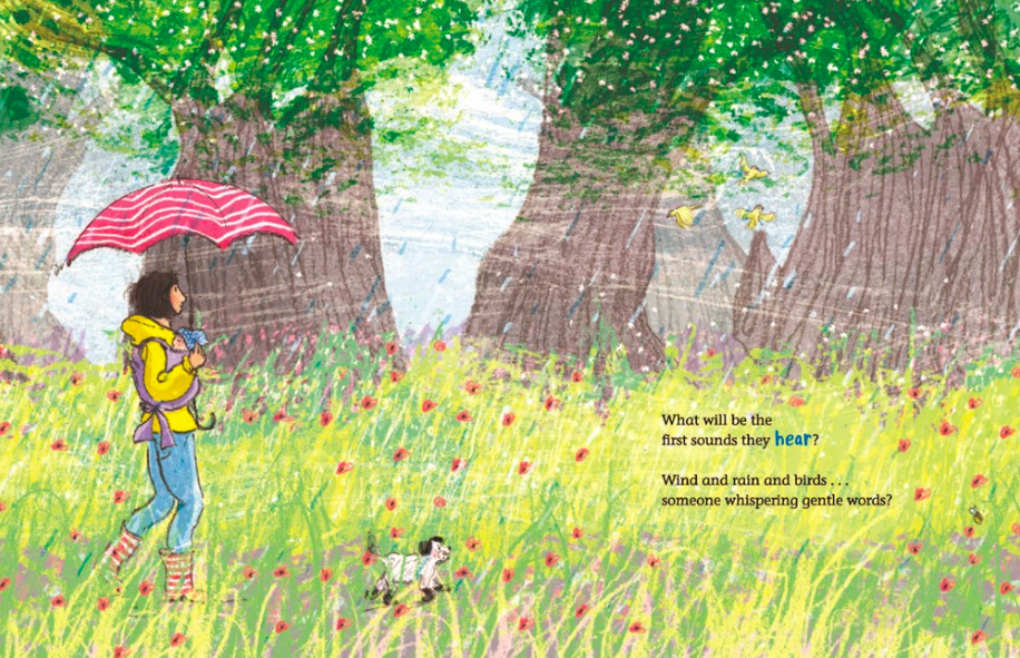 celebrate-picture-book-review-world-so-wide-field