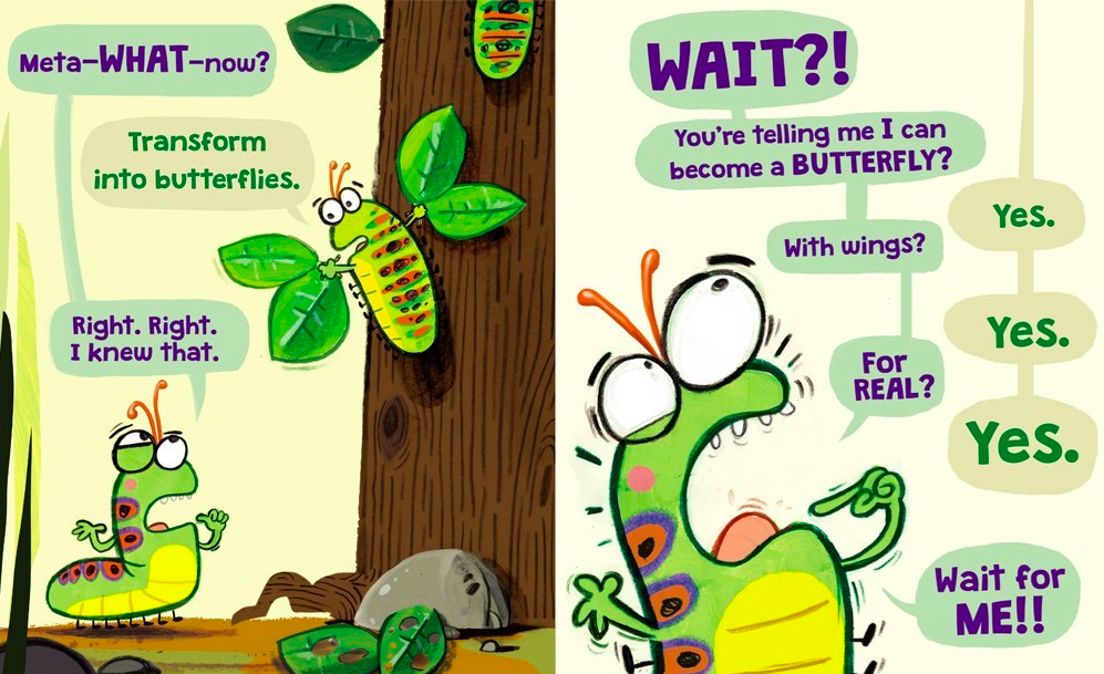 celebrate-picture-books-picture-book-review-the-very-impatient-caterpillar-meta-what
