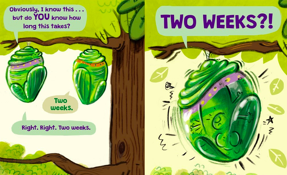 celebrate-picture-books-picture-book-review-the-very-impatient-caterpillar-two-weeks