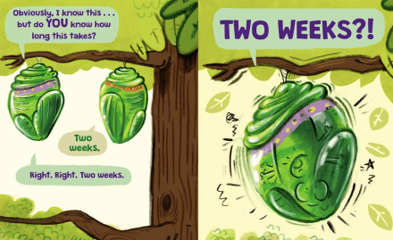 celebrate-picture-books-picture-book-review-the-very-impatient-caterpillar-two-weeks