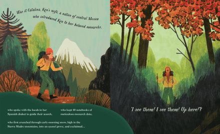 celebrate-picture-books-picture-book-review-winged-wonders-catalina