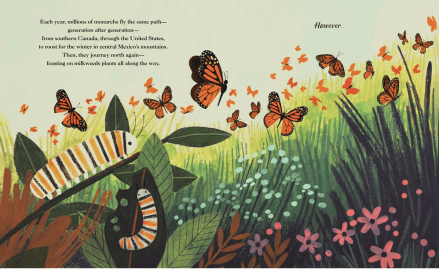 celebrate-picture-books-picture-book-review-winged-wonders-caterpillars