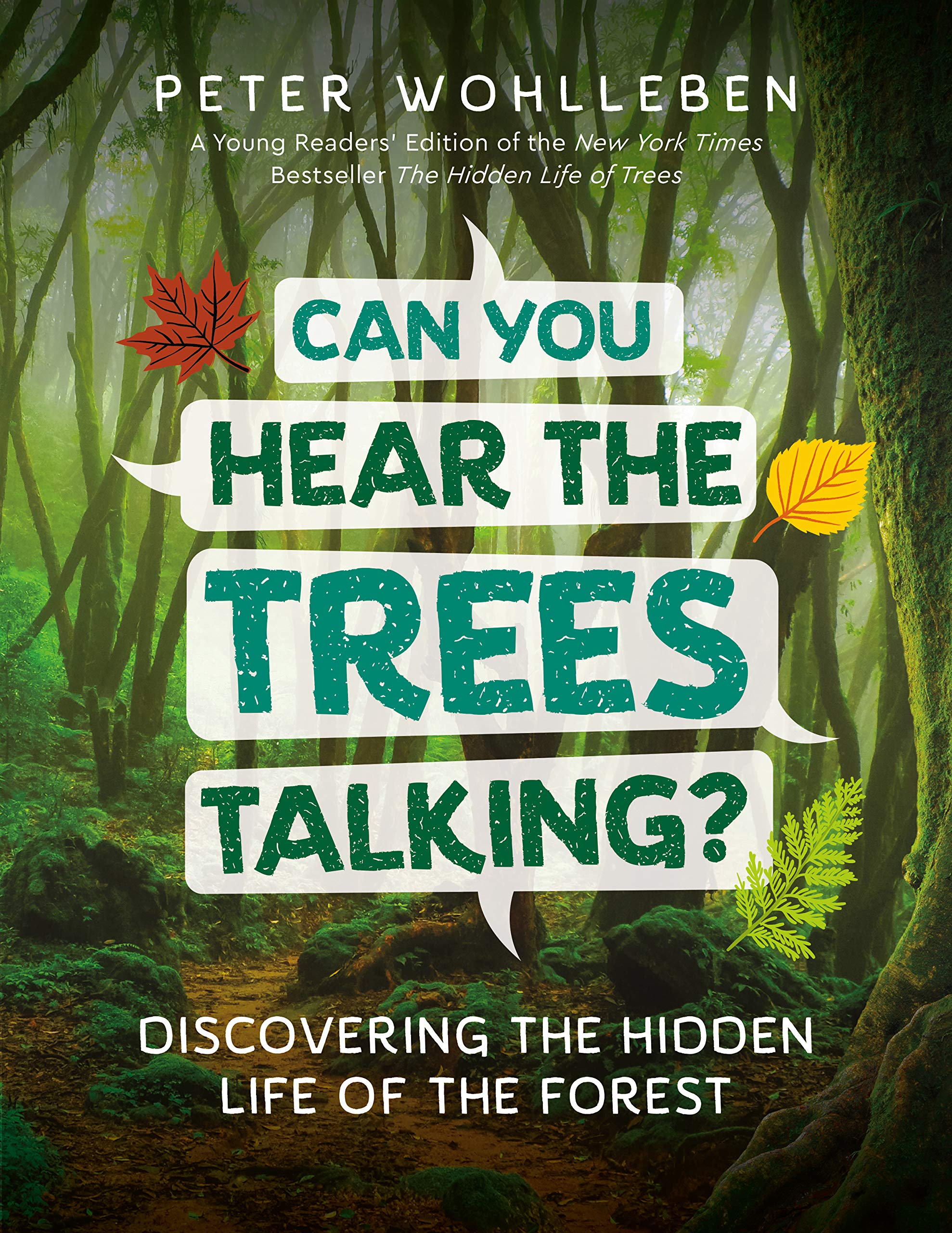 celebrate-picture-books-picture-book-review-can-you-hear-the-trees-talking-cover