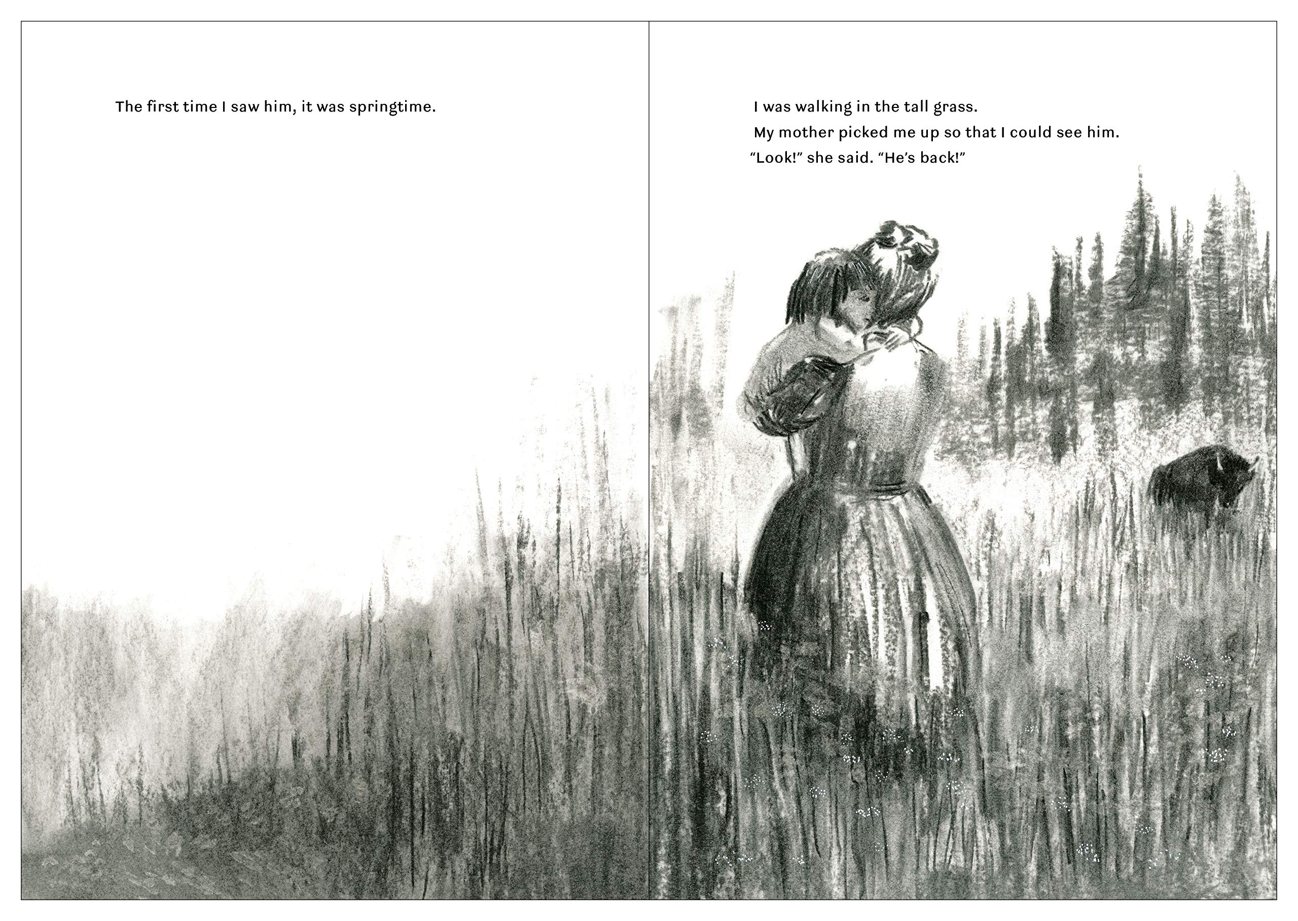 celebrate-picture-books-picture-book-review-my-bison-first-time