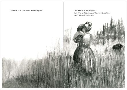 celebrate-picture-books-picture-book-review-my-bison-first-time