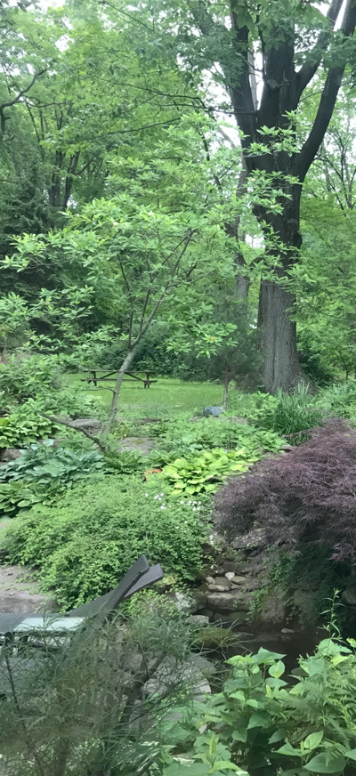 celebrate-picture-books-picture-book-review-shana-keller's-backyard