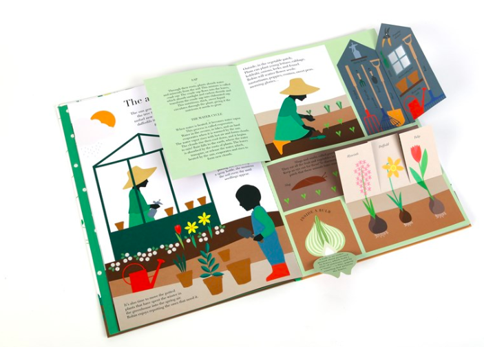 celebrate-picture-books-picture-book-review-in-the-garden-open-shed