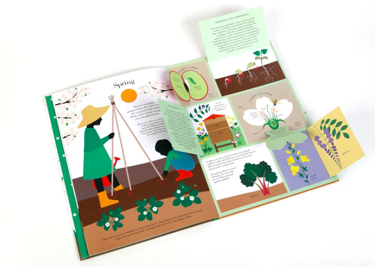celebrate-picture-books-picture-book-review-in-the-garden-open-spring
