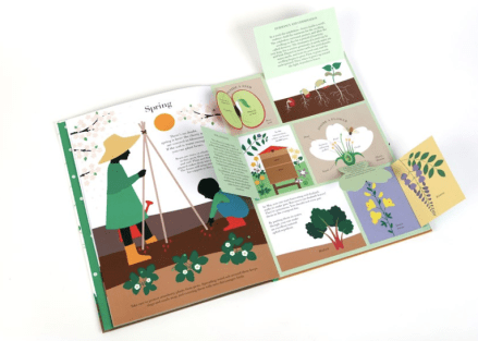 celebrate-picture-books-picture-book-review-in-the-garden-open-spring