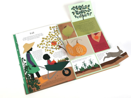 celebrate-picture-books-picture-book-review-in-the-garden-open-fall