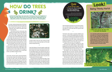 celebrate-picture-books-picture-book-review-can-you-hear-the-trees-talking-drink