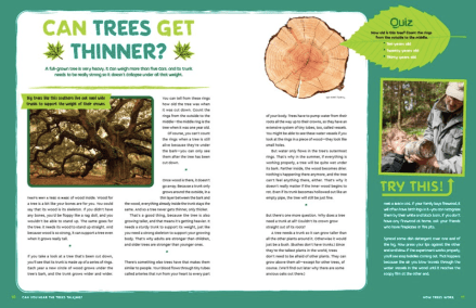 celebrate-picture-books-picture-book-review-can-you-hear-the-trees-talking-thinner