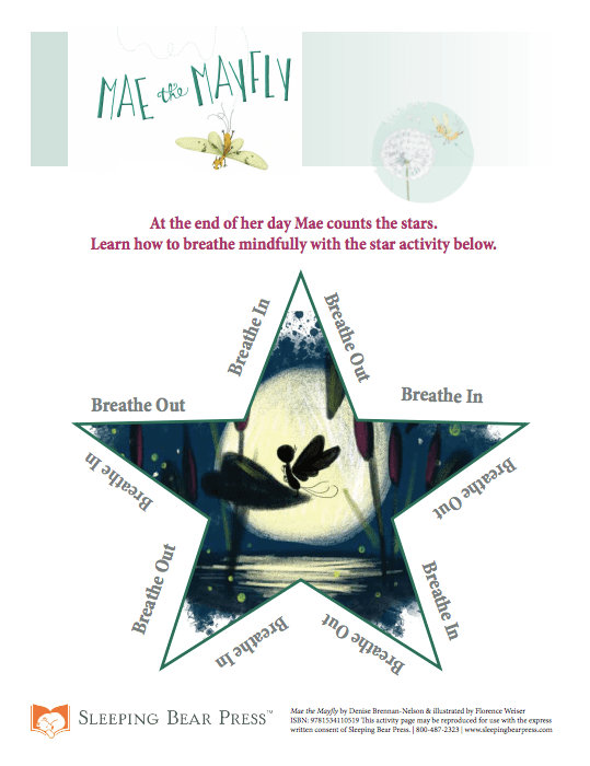 celebrate-picture-books-picture-book-review-mae-the-mayfly-activity-page