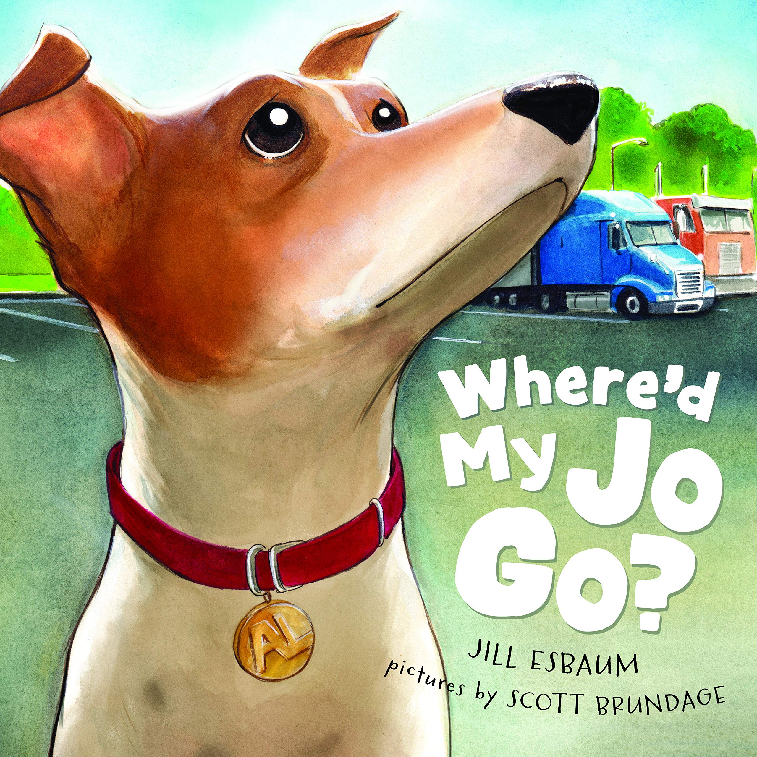 celebrate-picture-books-picture-book-review-where'd-my-jo-go-cover
