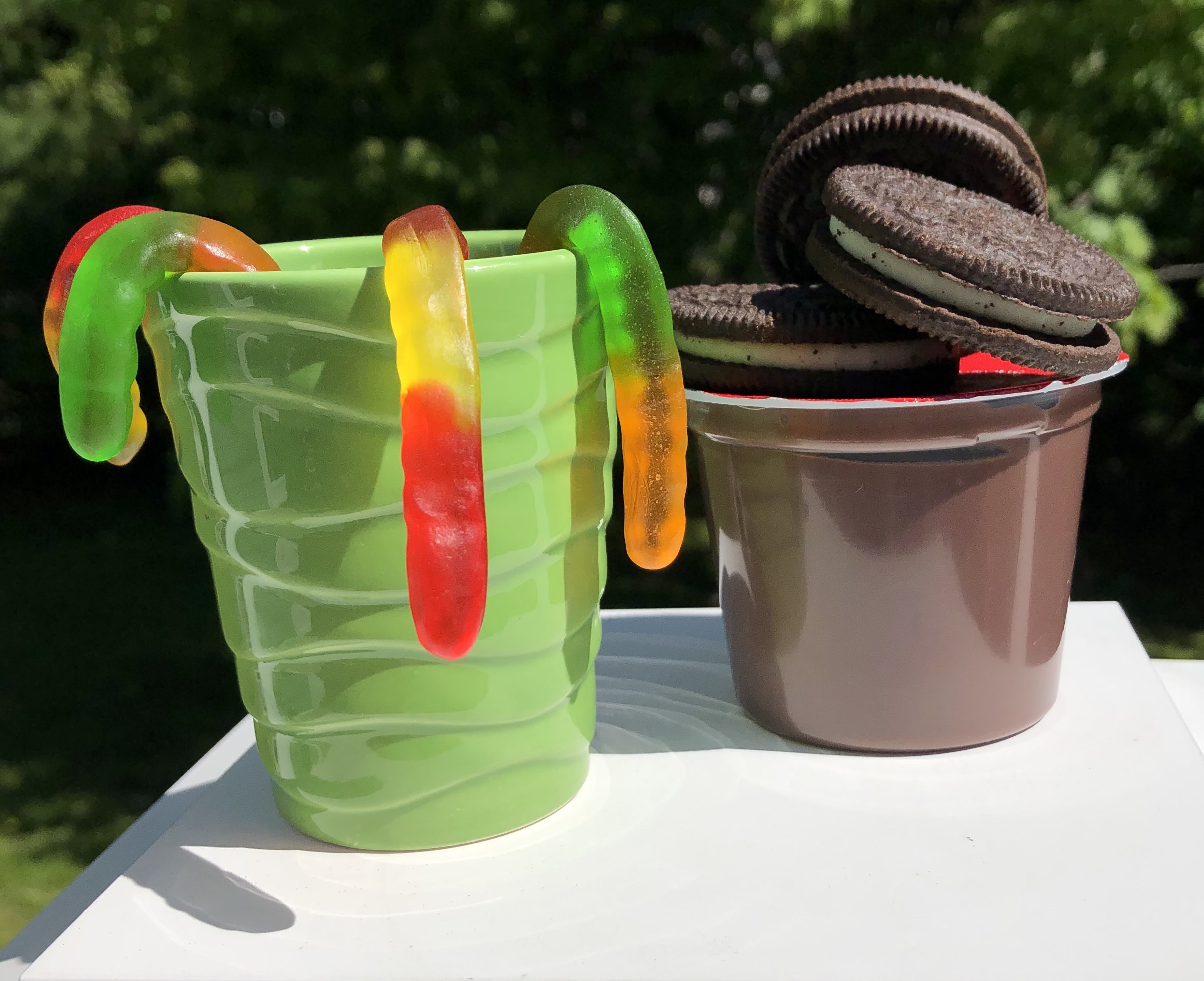 celebrate-picture-books-picture-book-review-dirt-cups-ingredients