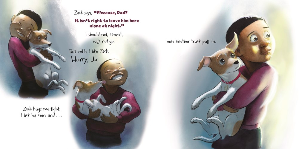 celebrate-picture-books-picture-book-review-where'd-my-jo-go-Zack