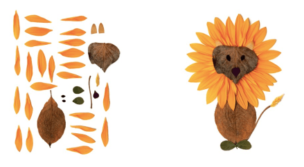 celebrate-picture-books-picture-book-review-leafy-lion