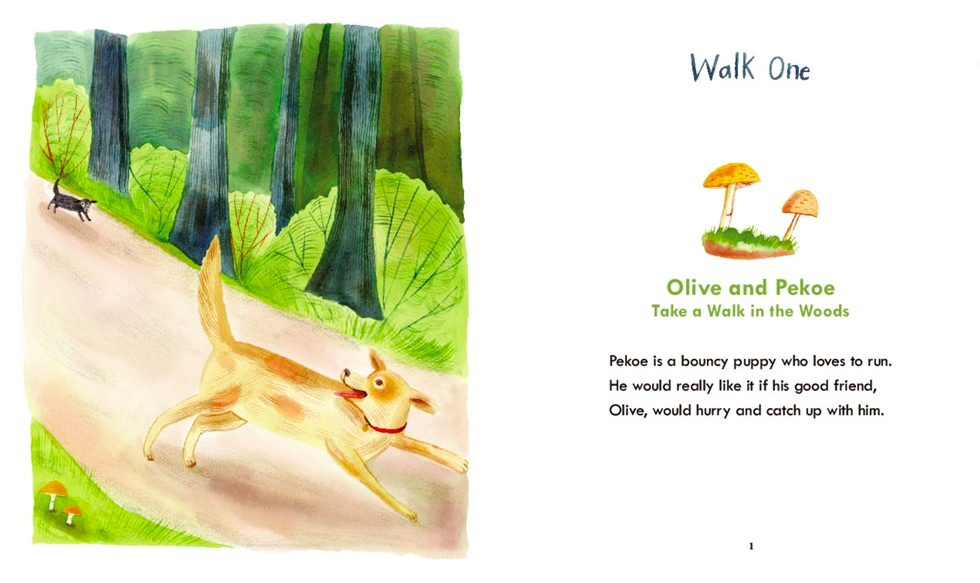 celebrate-picture-books-picture-book-review-olive-and-pekoe-walk-one
