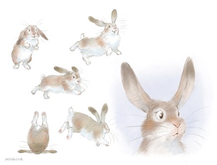 celebrate-picture-books-picture-book-review-Petra-Brown-interview-bunny-study