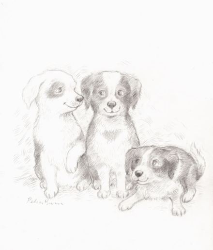 celebrate-picture-books-picture-book-review-Petra-Brown-interview-dog-drawing